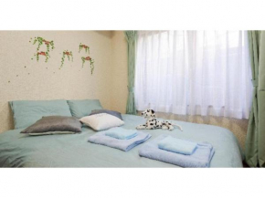 Cosmo Mercy N-1 / Vacation STAY 12990